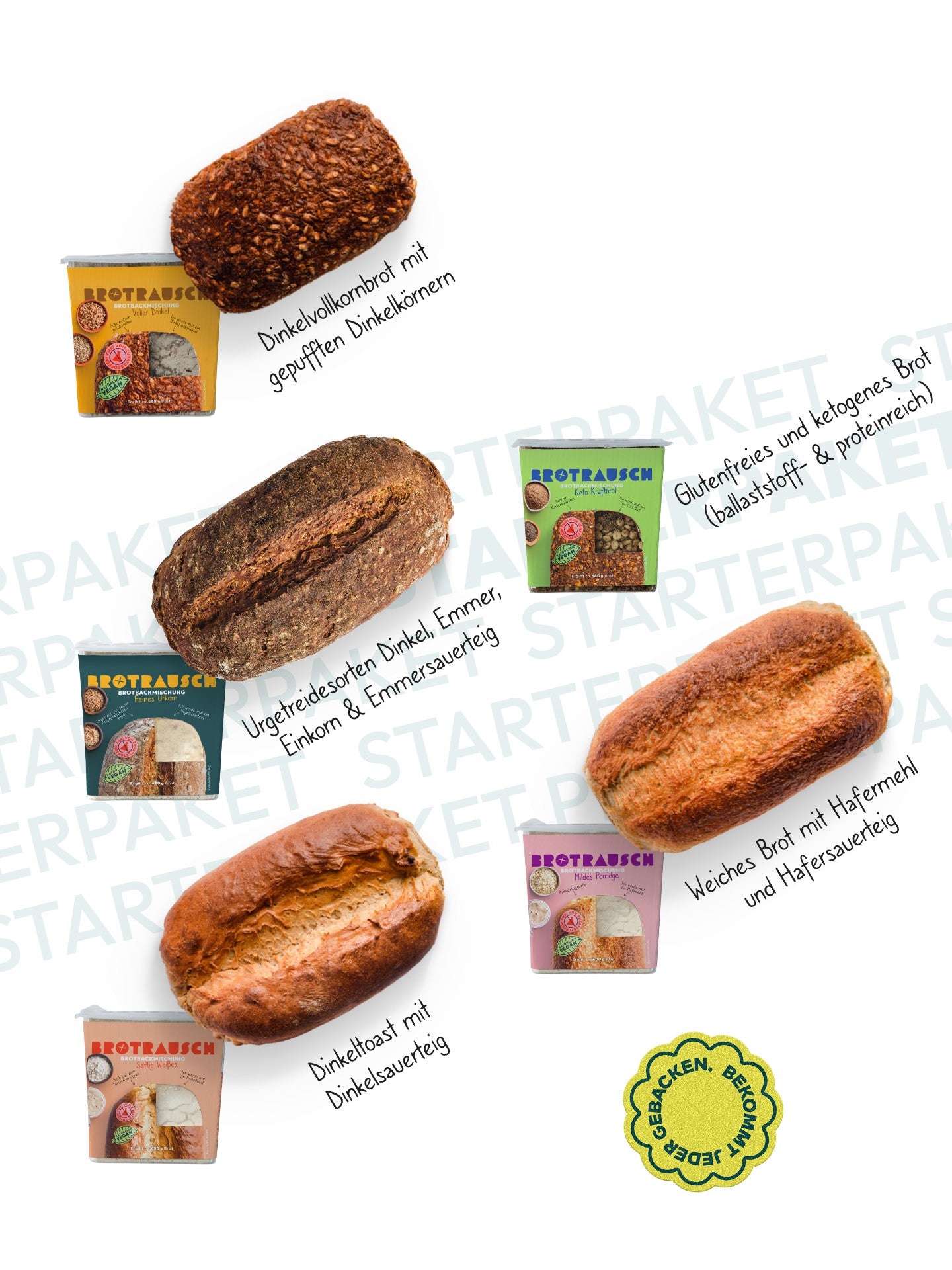 10er Starterpaket 