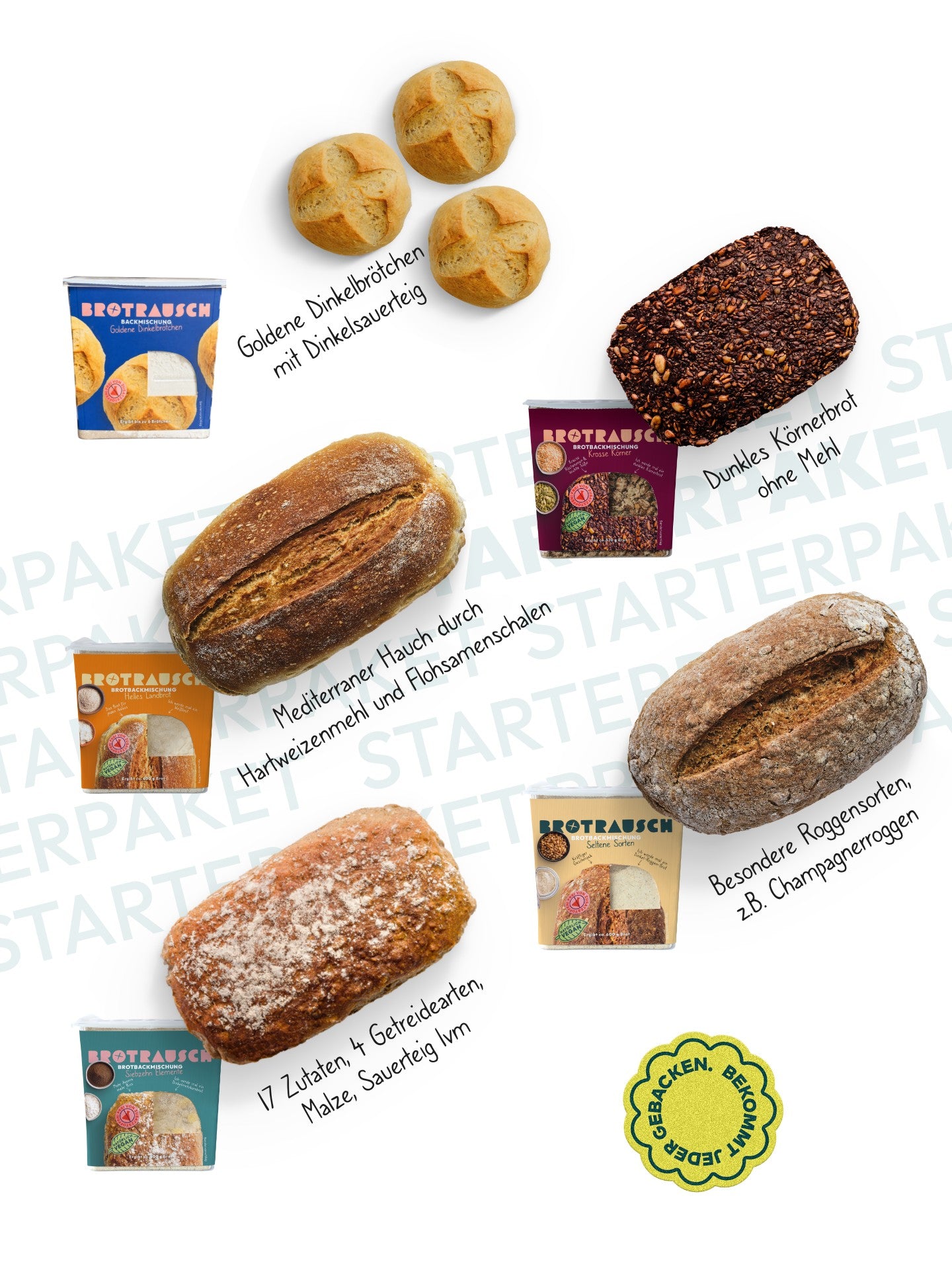 10er Starterpaket "Alles Drin"