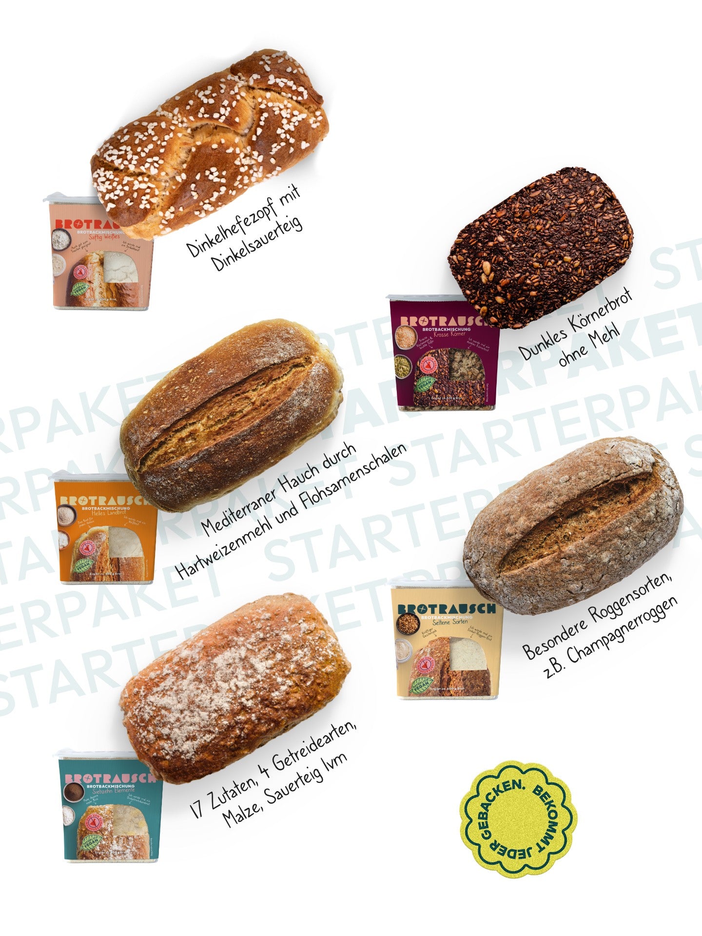 10er Starterpaket "Alles drin"