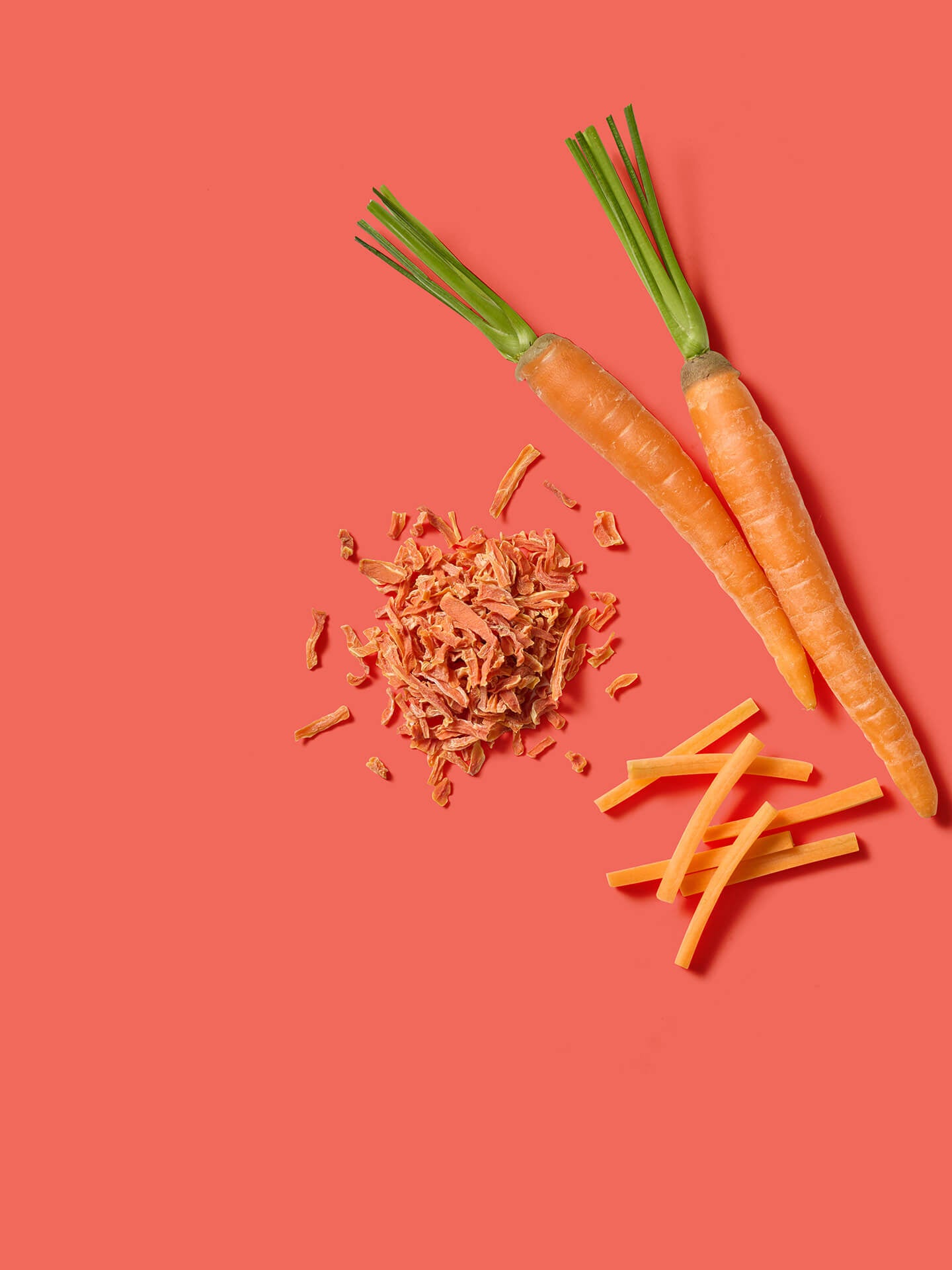 Brotzugabe Kräftige Karottensticks 3er Bundle