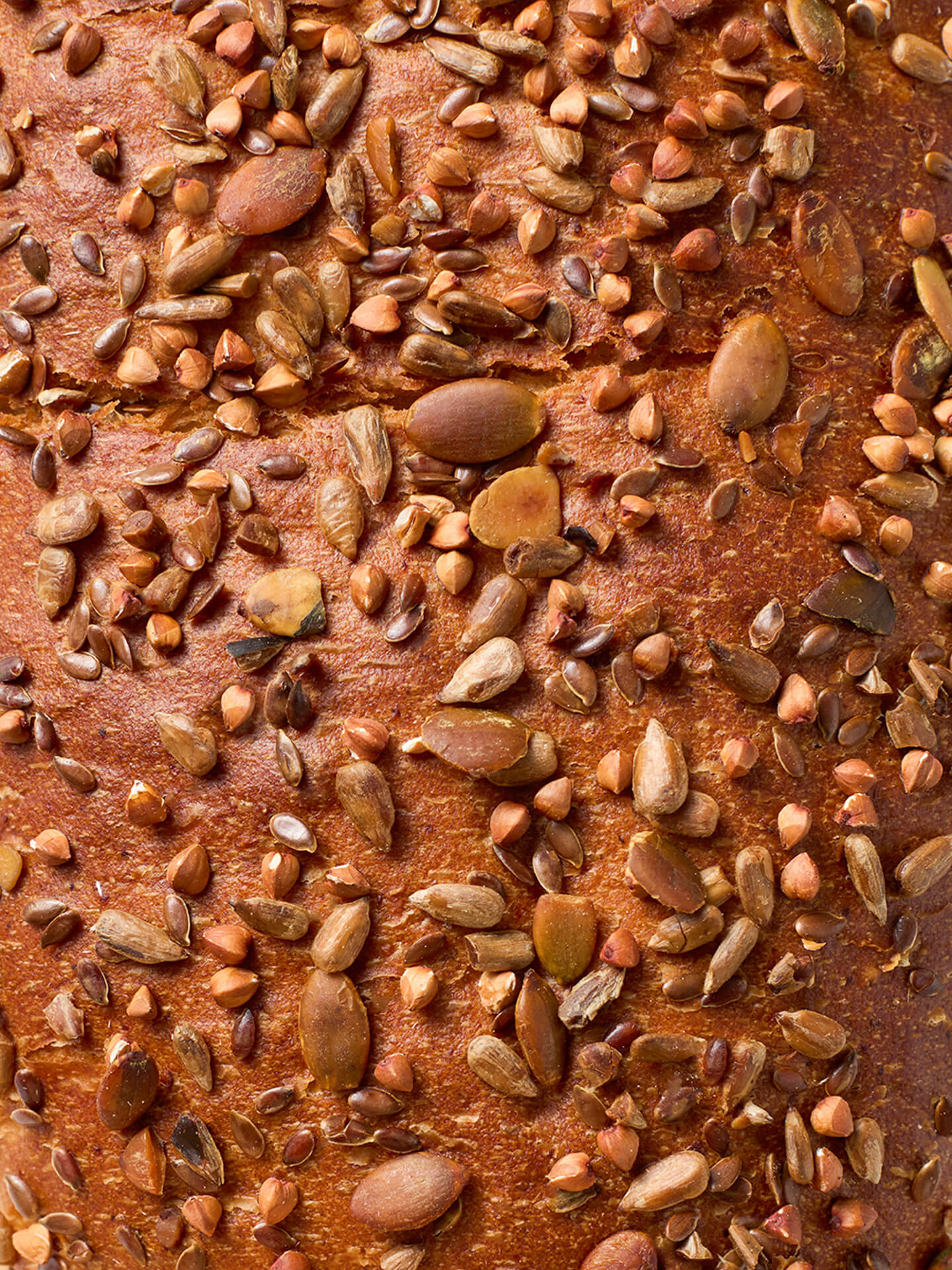 Topping Kerniges Quartett 3er Bundle